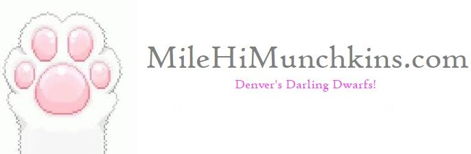  MileHiMunchkins.com